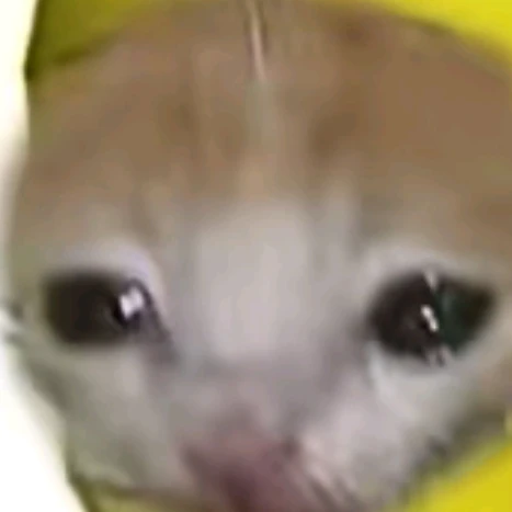 바나나킥