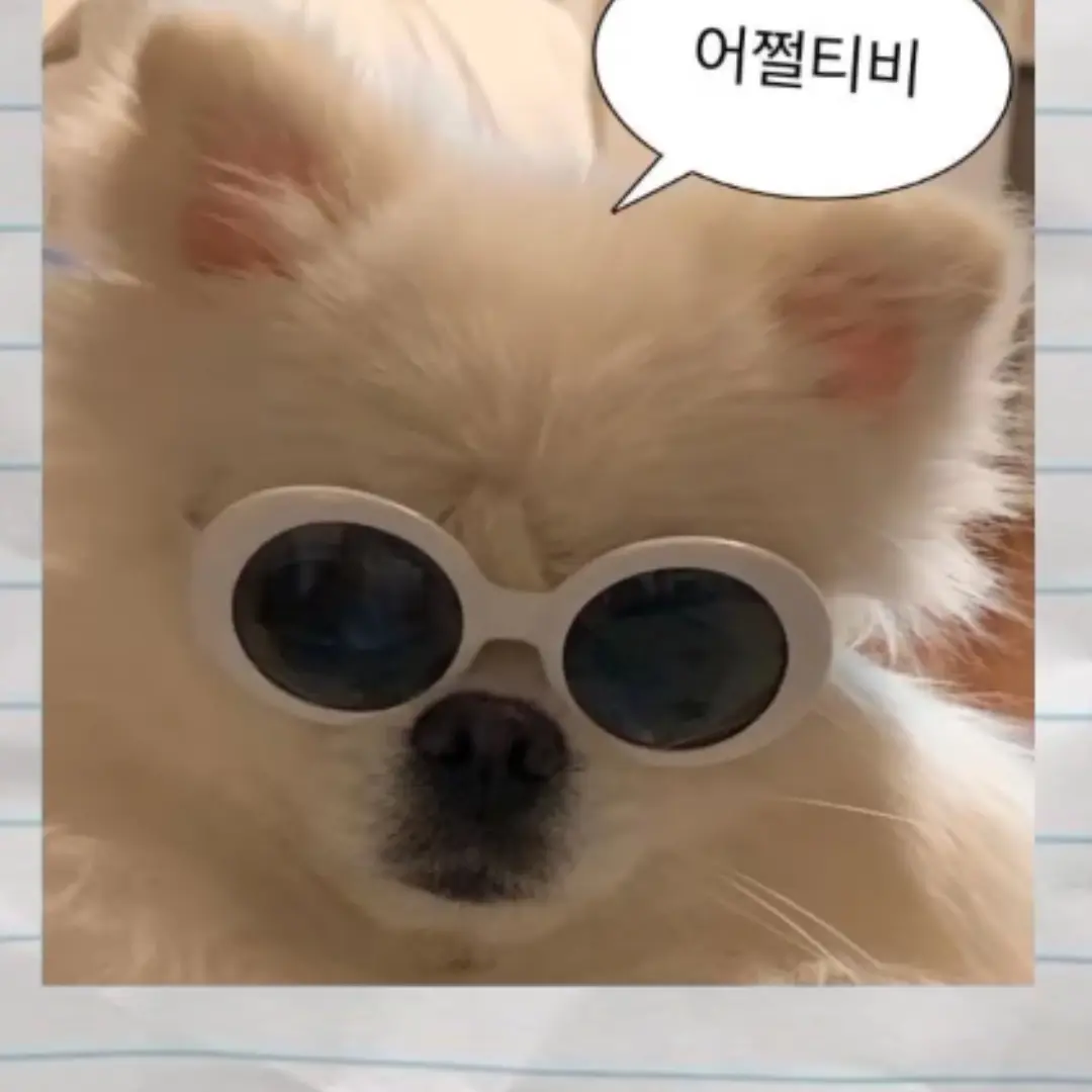 Seaka55의 ㅇㅇ