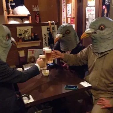Profile image of 3 men in pigeon masks