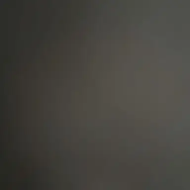 Profile image of 버닝