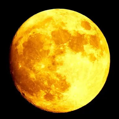 Profile image of カケル