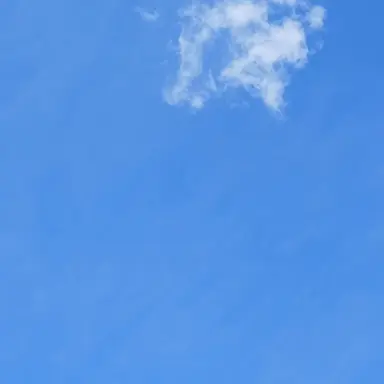 Profile image of 육성재