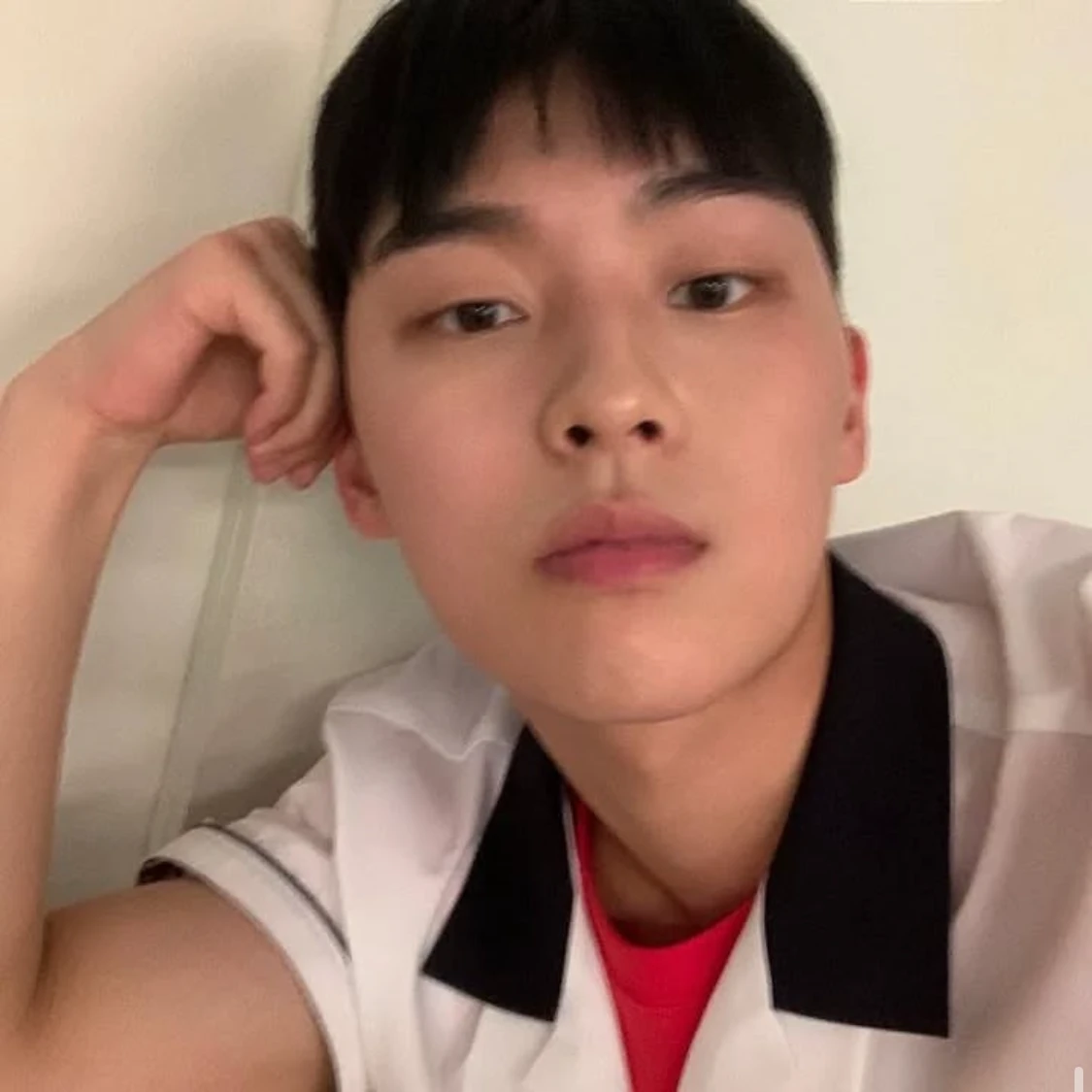 안수호