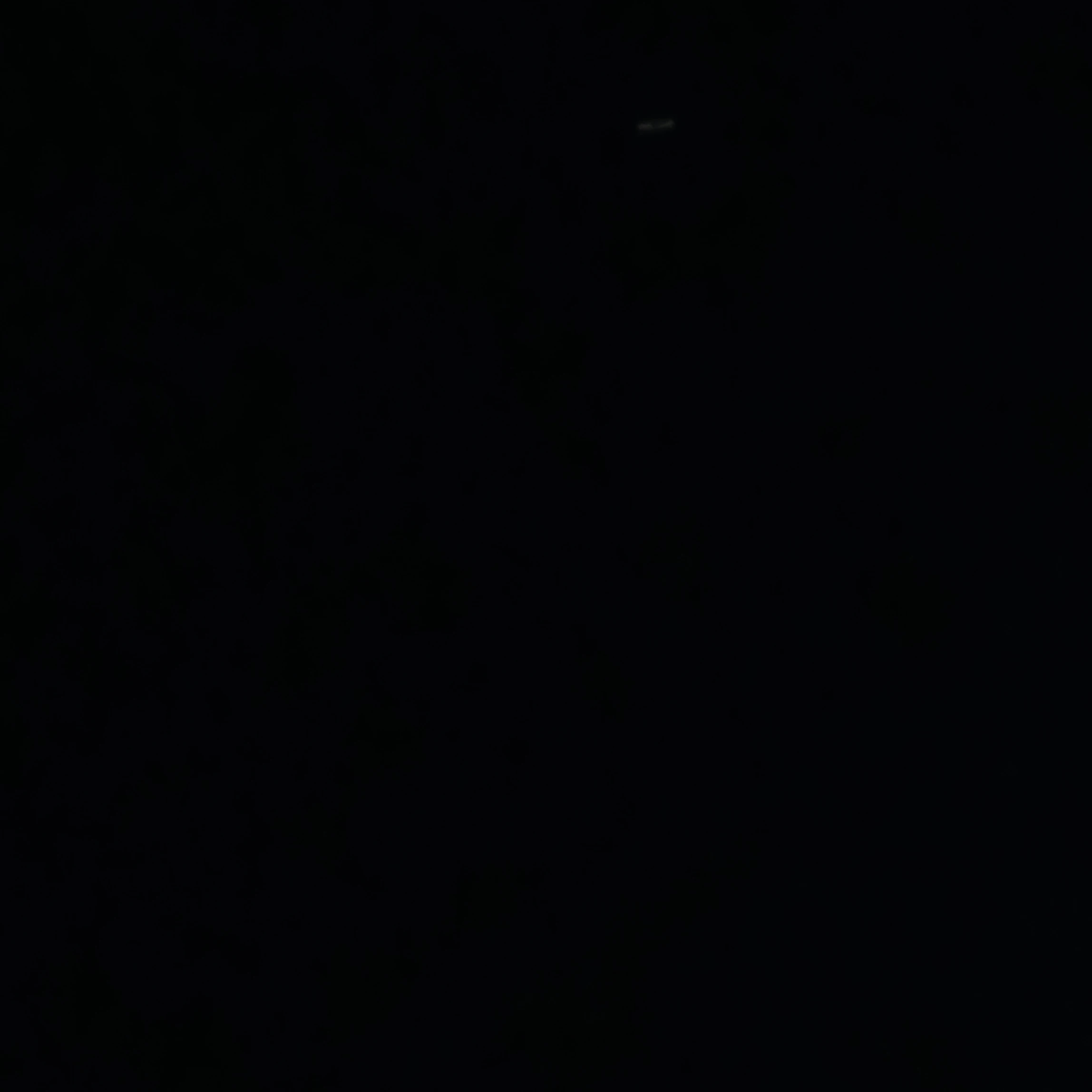 레즈바이러스
