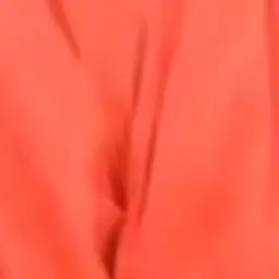 Profile image of 向井康二