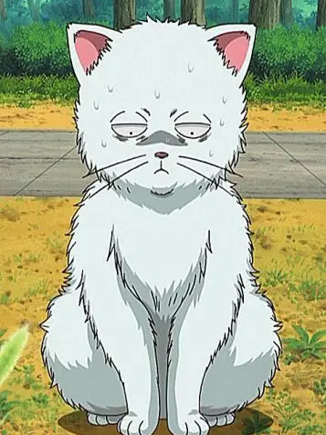 Knt_3150의 {{user}}が猫になっちゃった！？