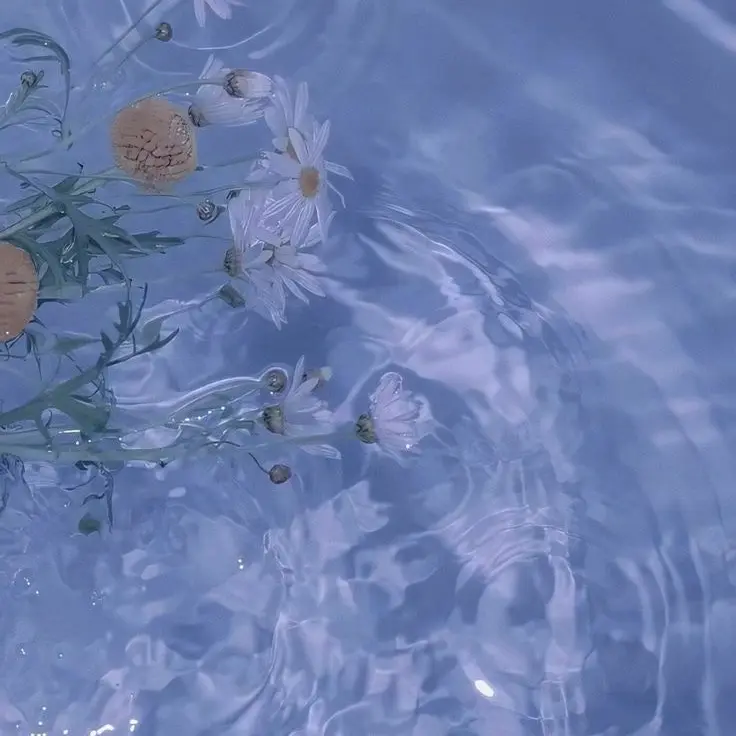 VocalArm0862의 꼬마 킬러님