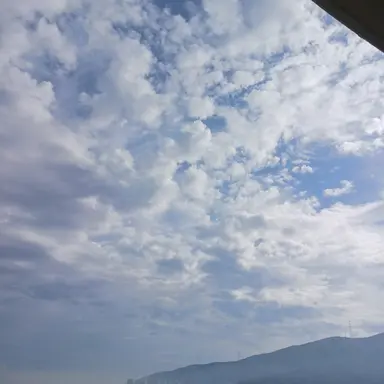 Profile image of 비흐