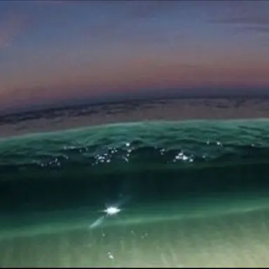 Profile image of 후이츠 카이토