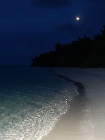 Cc_N의 후이츠 카이토