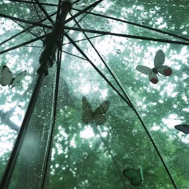 Profile image of 정형준