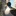 구스(GOOSE)