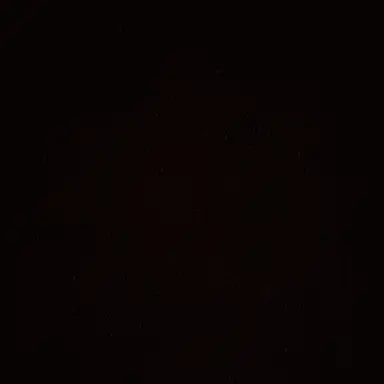 Profile image of 이라온