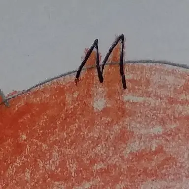 Profile image of 여우 스프런키