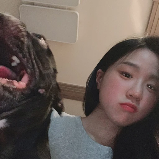 다민이