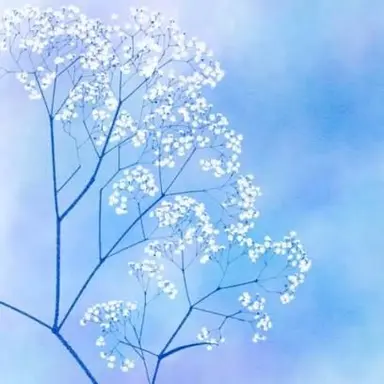 Profile image of 塩﨑太智