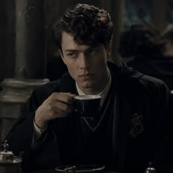 PastelSnow5934의 Slytherin boys+Harry