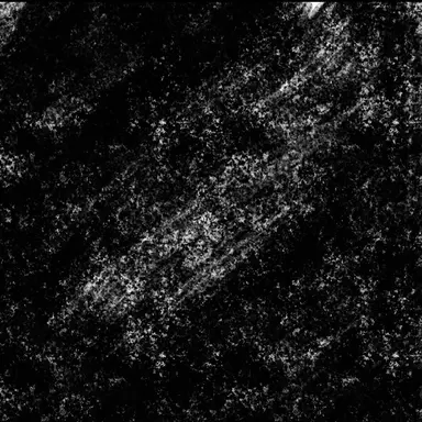 Profile image of 써니