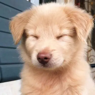 Profile image of 이하민