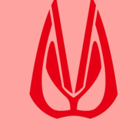 에이스