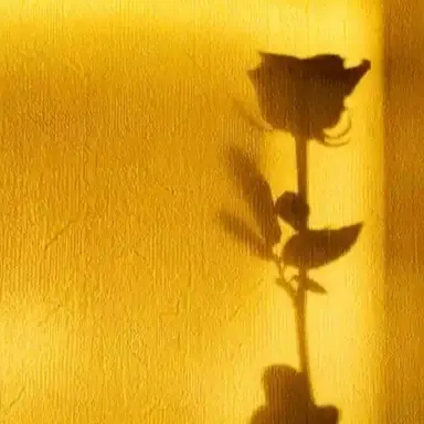 Profile image of 각별
