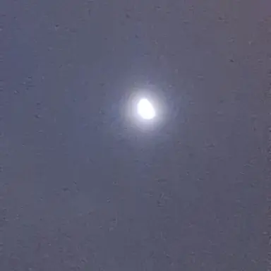 Profile image of 냥