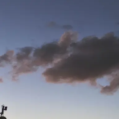 Profile image of 테모