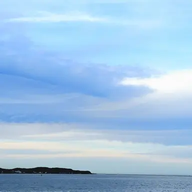 Profile image of 늑대