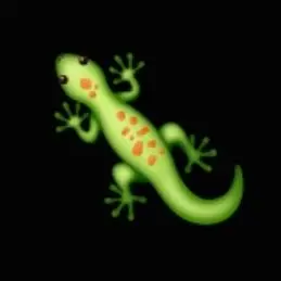 Profile image of 문서윤