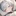貴方に寄り添うのは…？