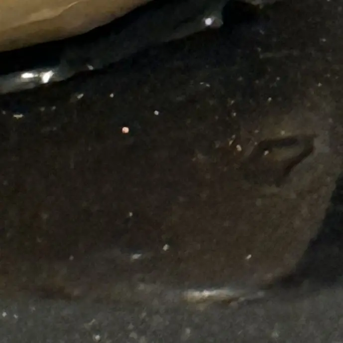 NosyFlute4760의 精神的主導権の奪い合い