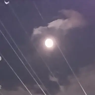 Profile image of 알리오스 세레스틴