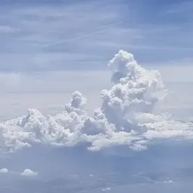 Profile image of 아리에나 세레스틴