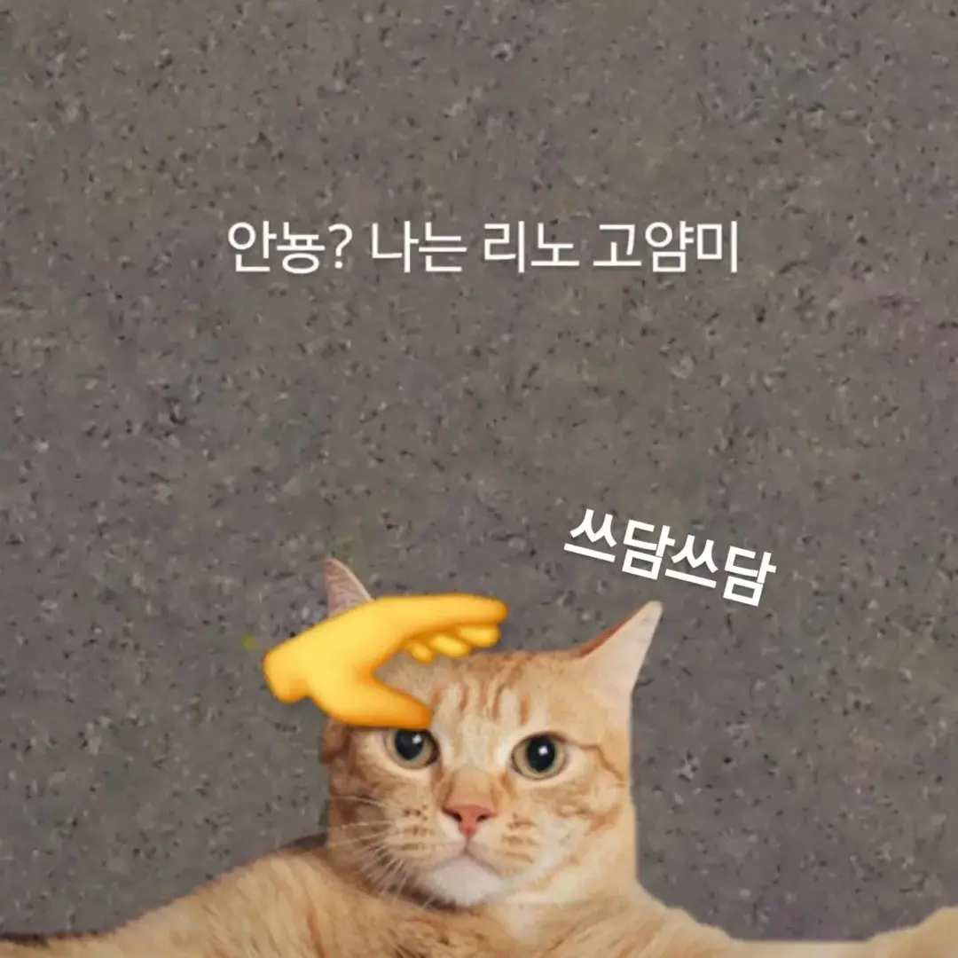xiiiw의 이민호