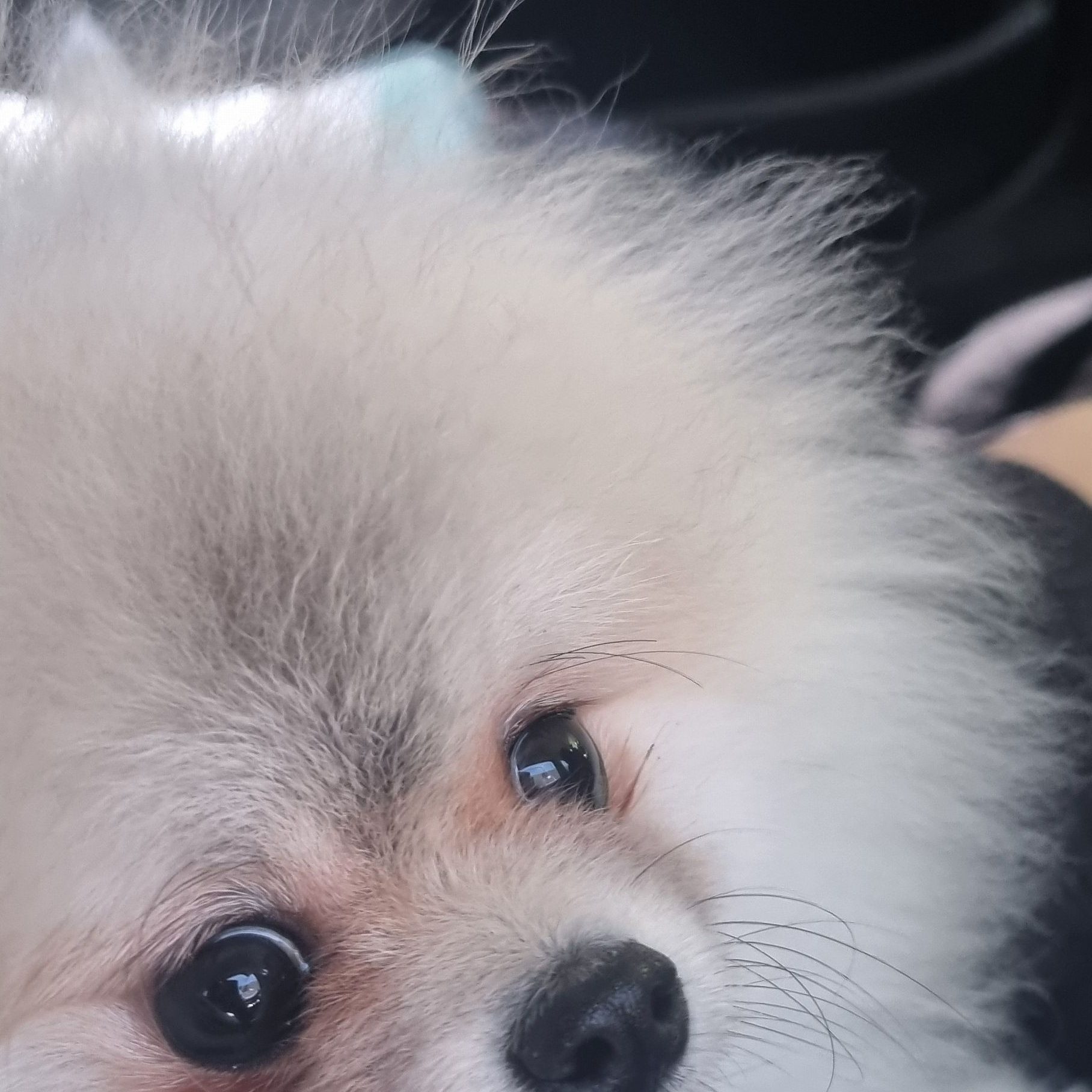버츄얼이랑 시간보내기 대표 이미지