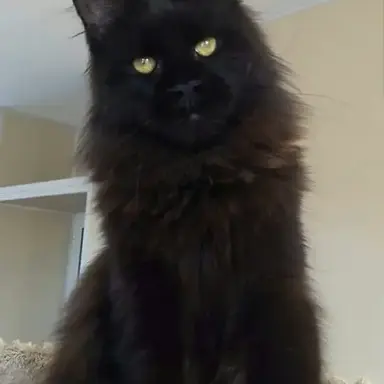 Profile image of Jack