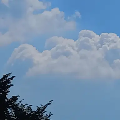 Profile image of 최도하