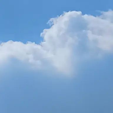 Profile image of 최도현