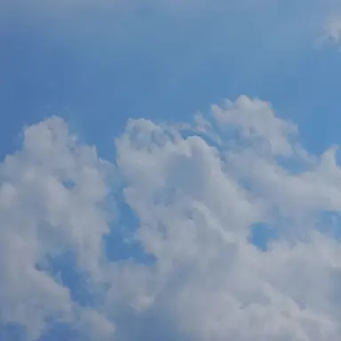 Profile image of 최형준