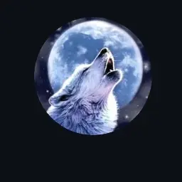 013ho의 울프 🥰