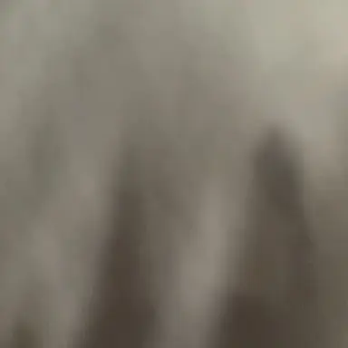 Profile image of 司