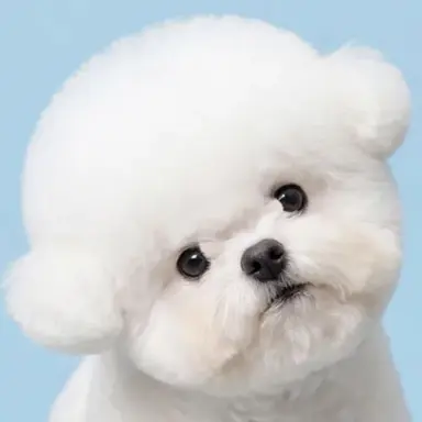 Profile image of 류민석