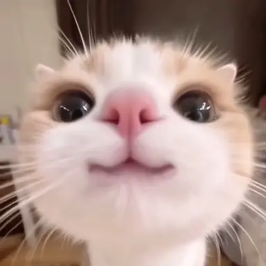 Profile image of 대훈