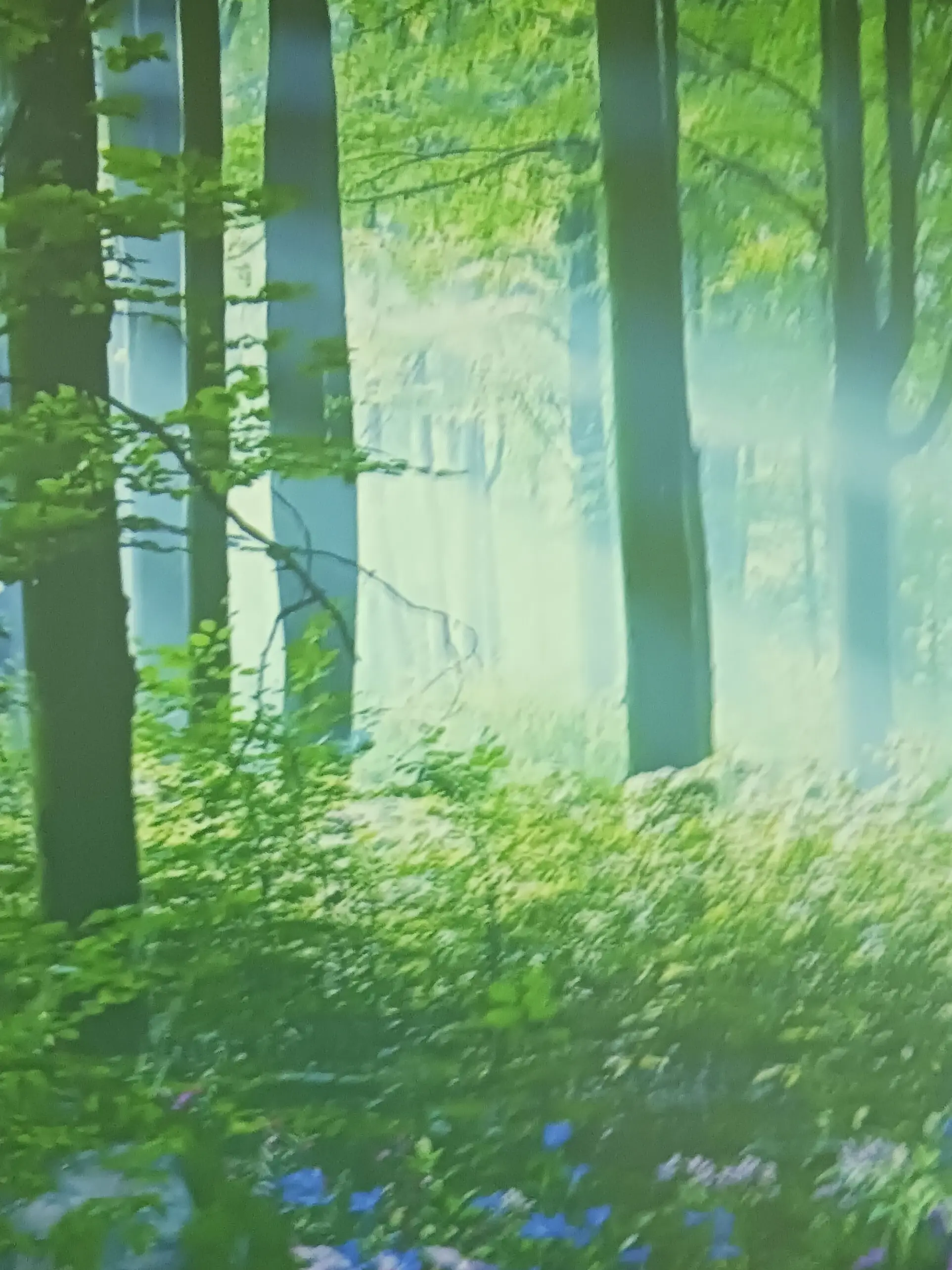 widbskkwkmsbdbwjw의 거짓말 탐지기 합방