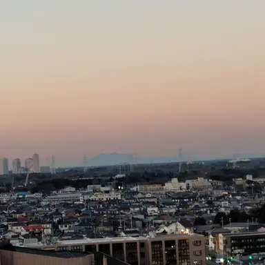 Profile image of 二階堂 佐々木 竹本