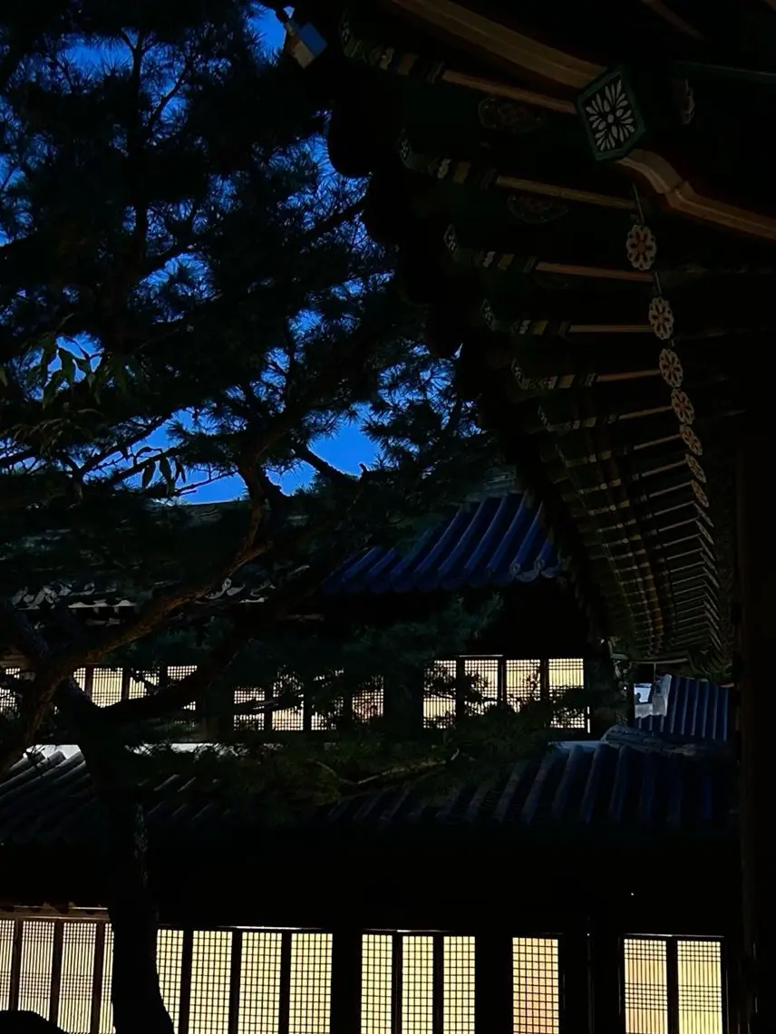 Oevoevoev의 이 효