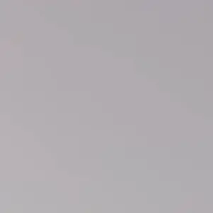 Profile image of 根岸