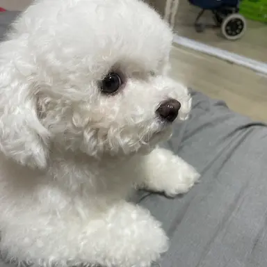 Profile image of Lee Eunji