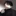 최태겸