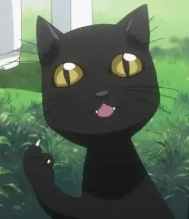 Profile image of Yoruichi